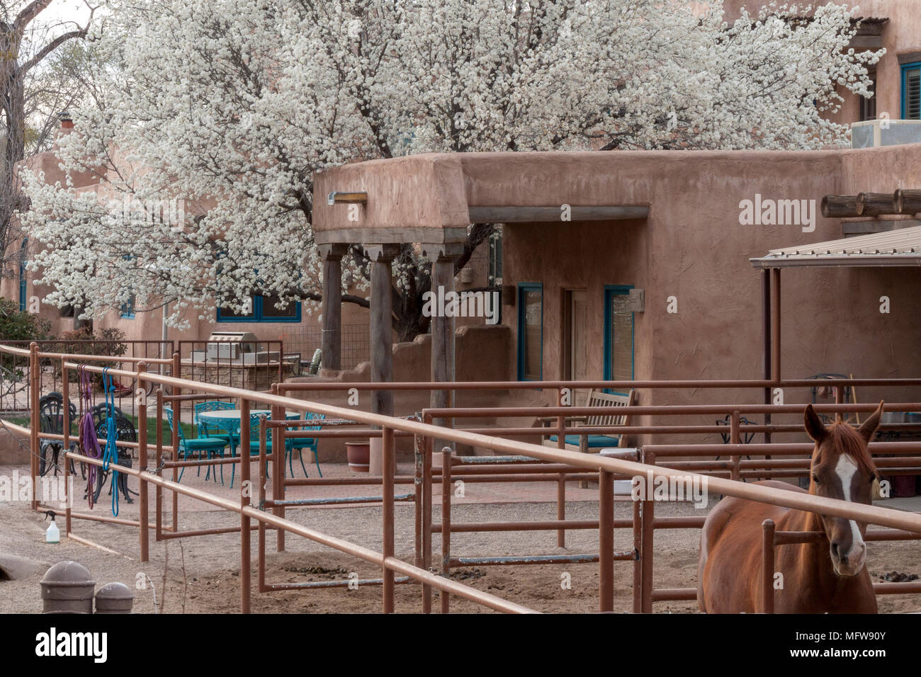 Stile Spanish-Pueblo casa con fiori di primavera Foto Stock