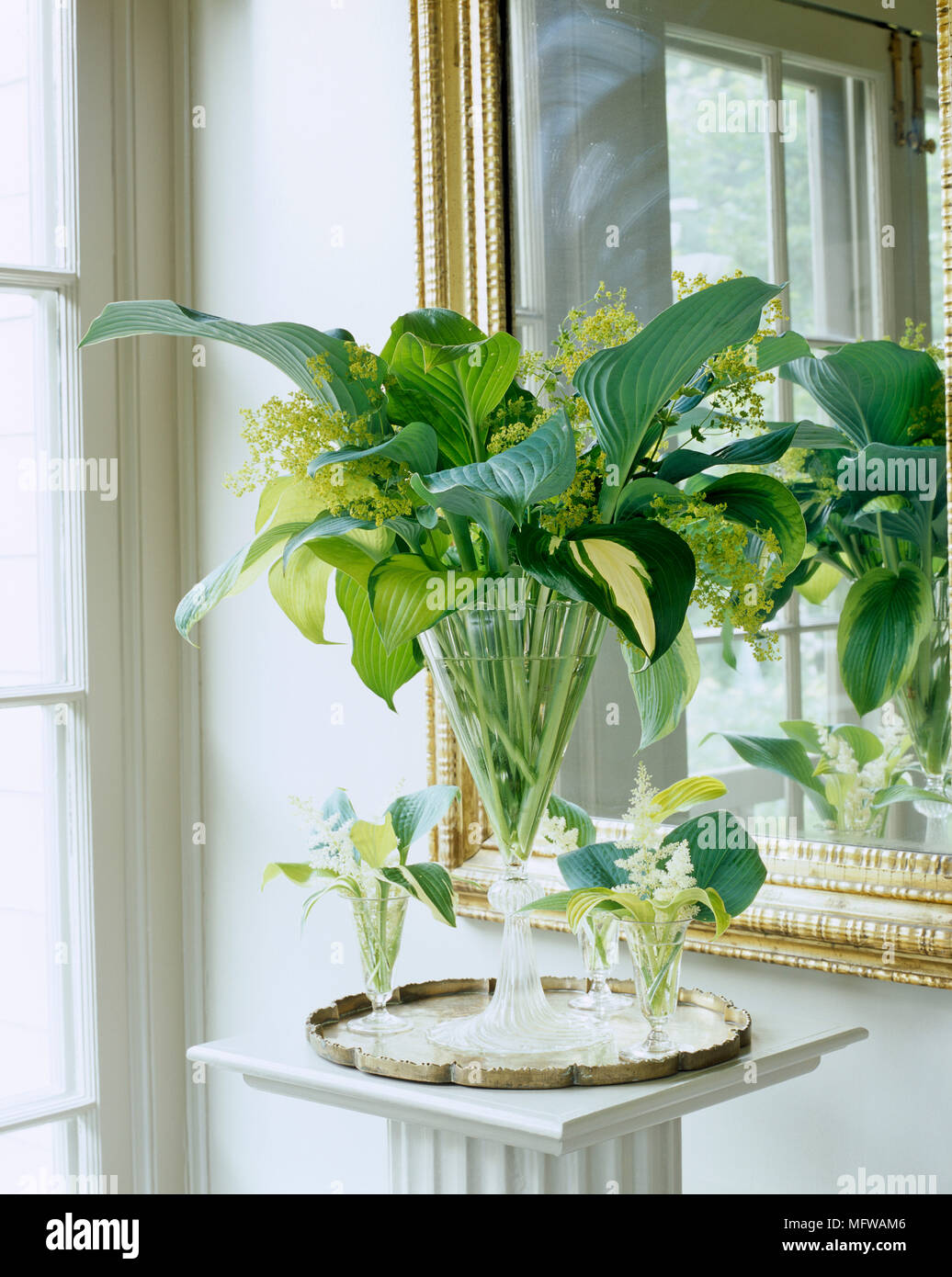Vasi di vetro di fiori e fogliame sul pilastro di fronte a specchio dorato Foto Stock