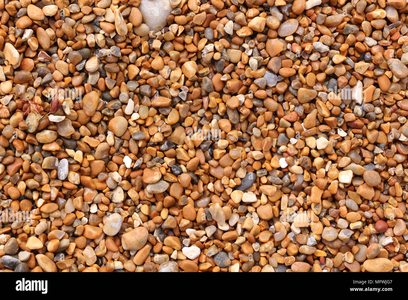 Spiaggia ghiaiosa Texture Foto Stock