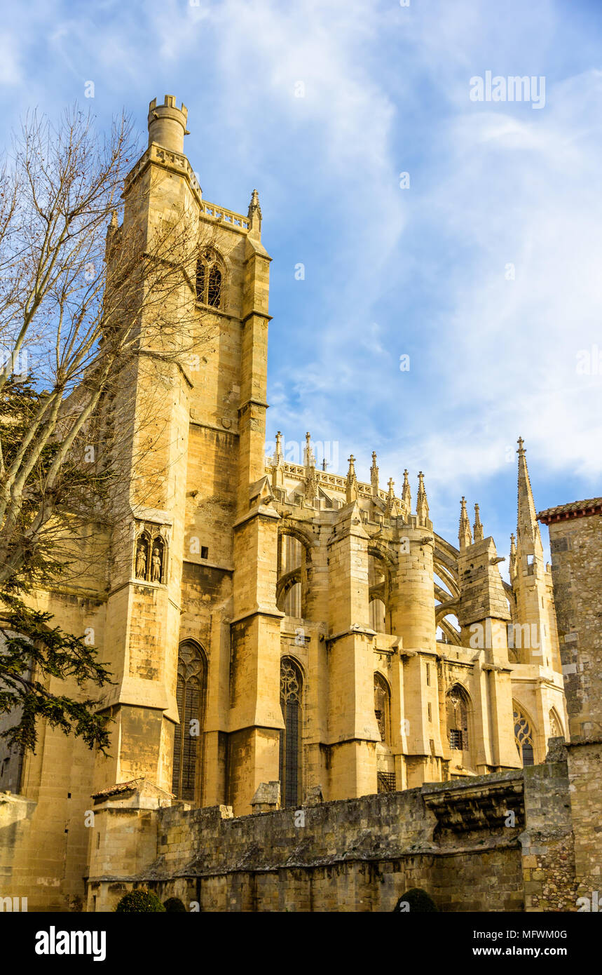Dettagli della Cattedrale di Narbonne - Francia Foto Stock