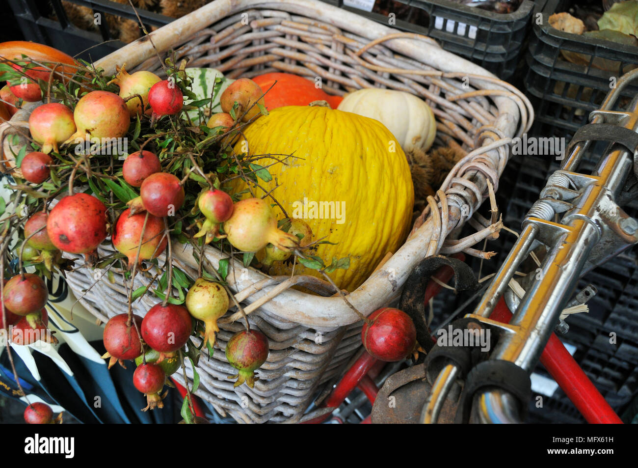 Zucche e melograni. Campo de' Fiori mercato alimentare. Roma, Italia Foto Stock