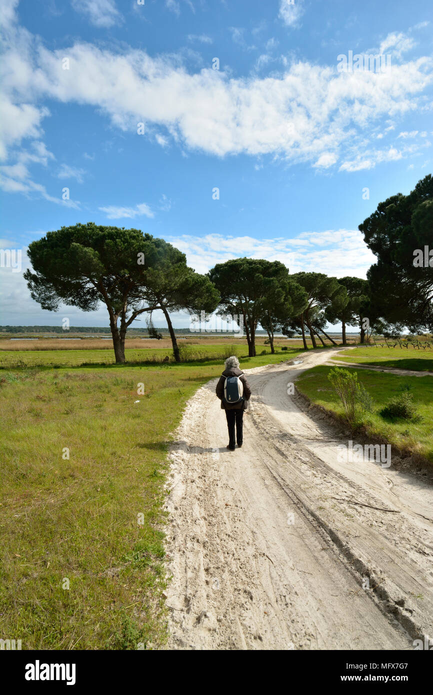 Bird watching a sull'estuario del fiume Sado Riserva Naturale lungo bellissimi sentieri. Portogallo Foto Stock