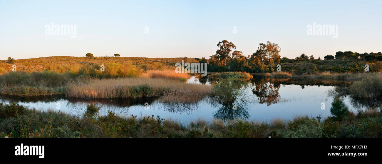 L'estuario del Sado riserva al tramonto. Portogallo Foto Stock