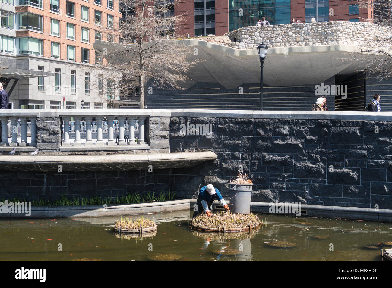 Giardiniere lavora su isola di piante nel laghetto ornamentale, NYC, STATI UNITI D'AMERICA Foto Stock