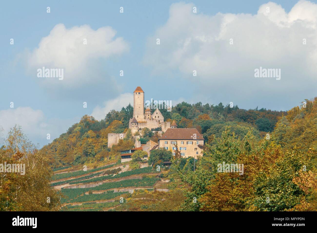 Burg Hornberg, Neckarzimmern, Baden-Württemberg, Germania Foto Stock