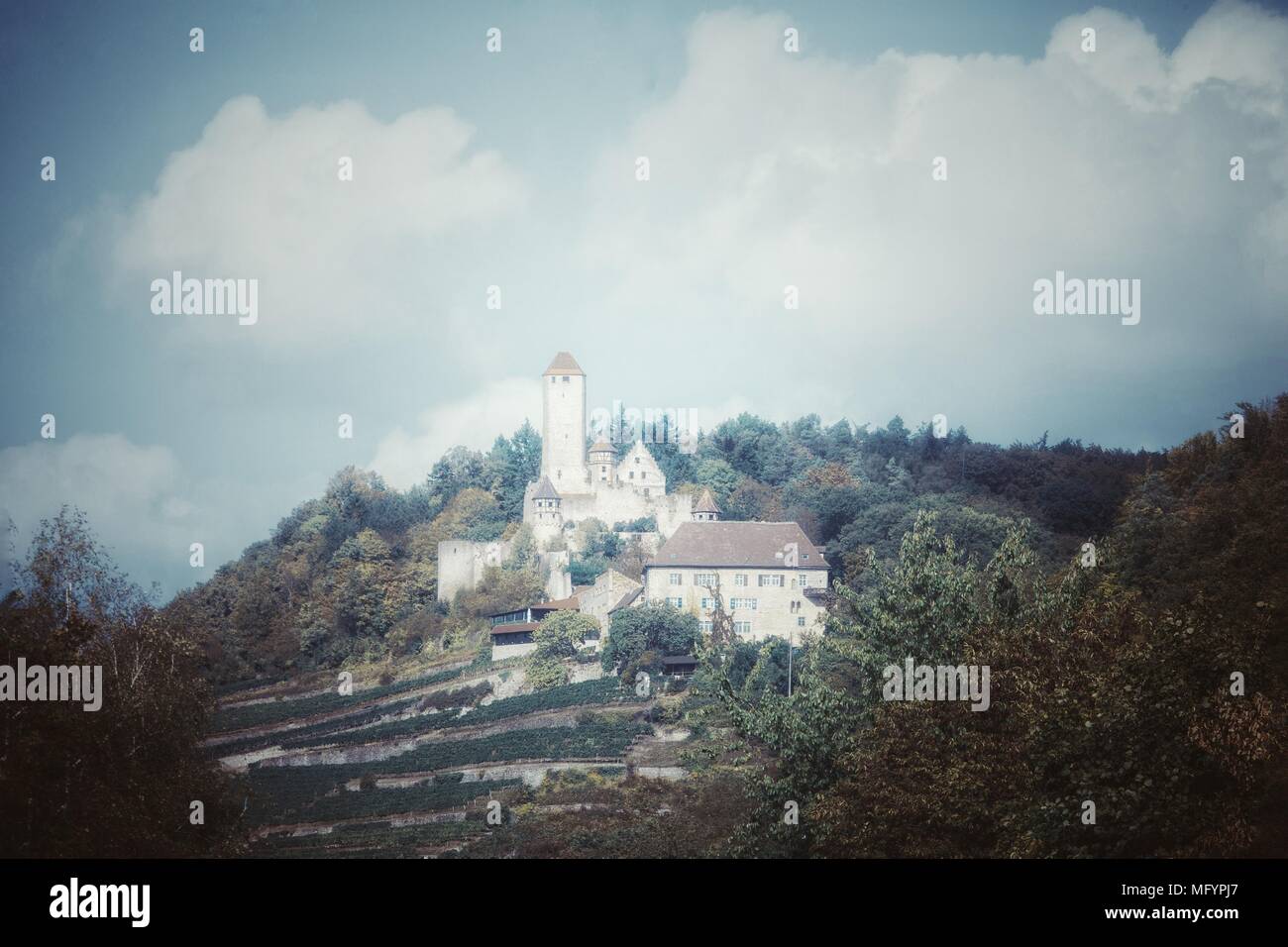 Burg Hornberg, Neckarzimmern, Baden-Württemberg, Germania Foto Stock