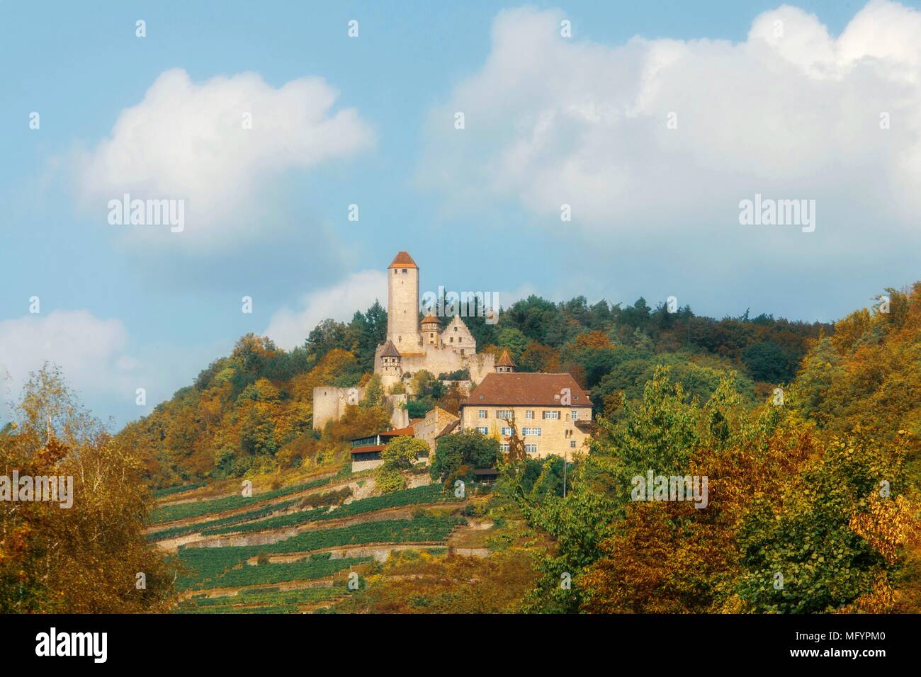 Burg Hornberg, Neckarzimmern, Baden-Württemberg, Germania Foto Stock