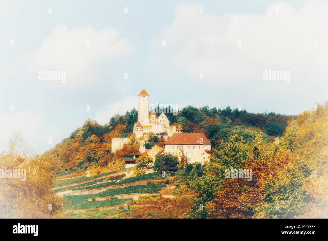 Burg Hornberg, Neckarzimmern, Baden-Württemberg, Germania Foto Stock