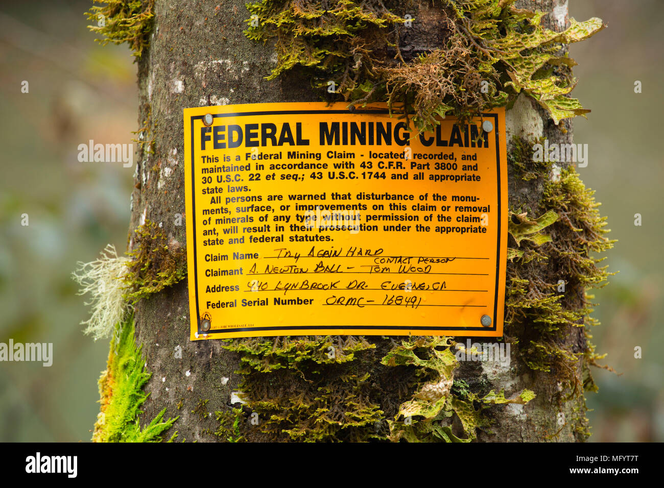 Mining rivendicazione marker al Graves Creek, Medford District Bureau of Land Management, Oregon Foto Stock