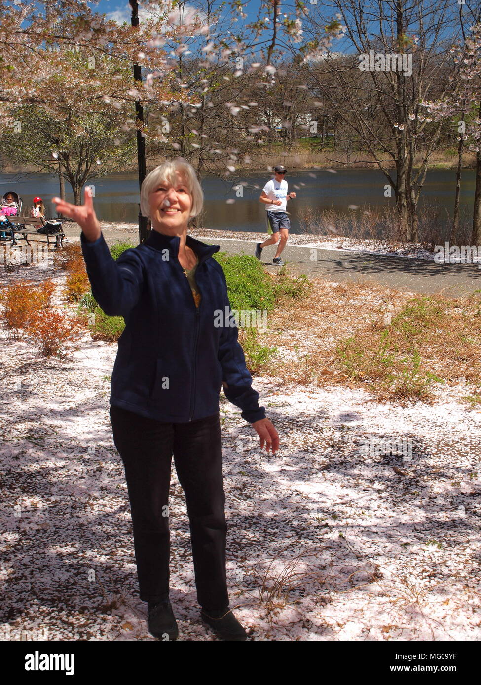 Signora sorridente tossing fiori di ciliegio in aria a parco. Foto Stock