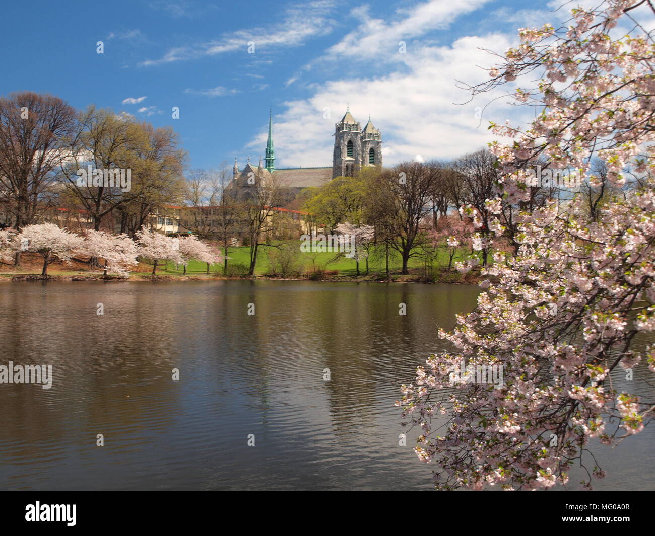 La Cattedrale del Sacro Cuore durante il Cherry Blossom Festival di Newark, New Jersey, Stati più grande città. Foto Stock