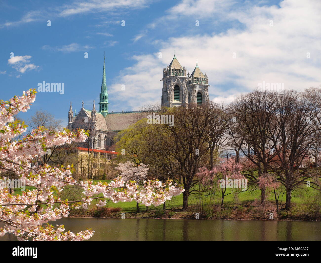 La Cattedrale del Sacro Cuore durante il Cherry Blossom Festival di Newark, New Jersey, Stati più grande città. Foto Stock