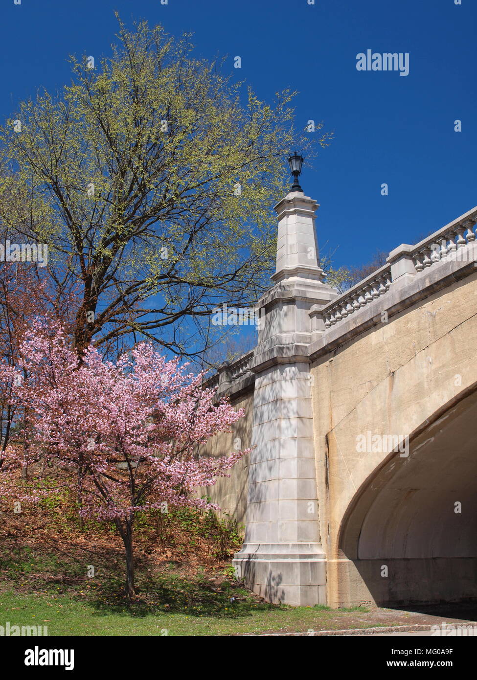 Dettagli di ramo Brook park a Newark, NJ. Foto Stock
