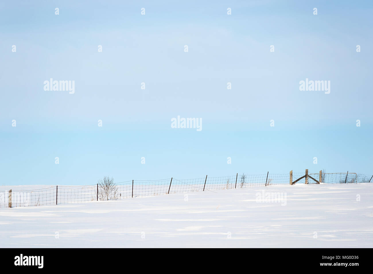 Recinzione di fattoria su strade coperte di neve campo. Foto Stock