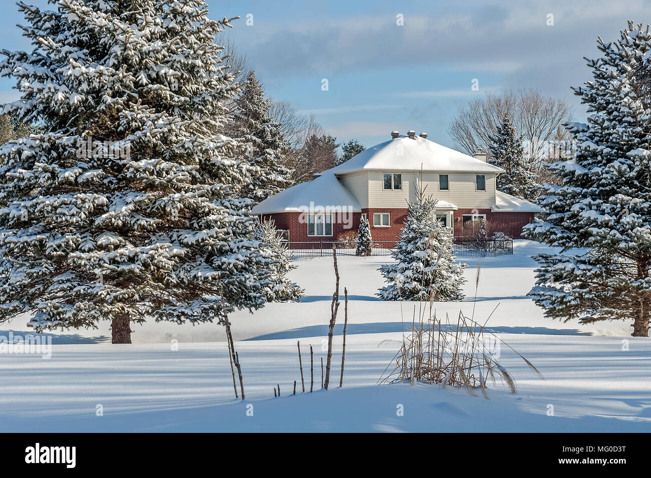 Scena invernale di casa e coperta di neve back yard Foto Stock