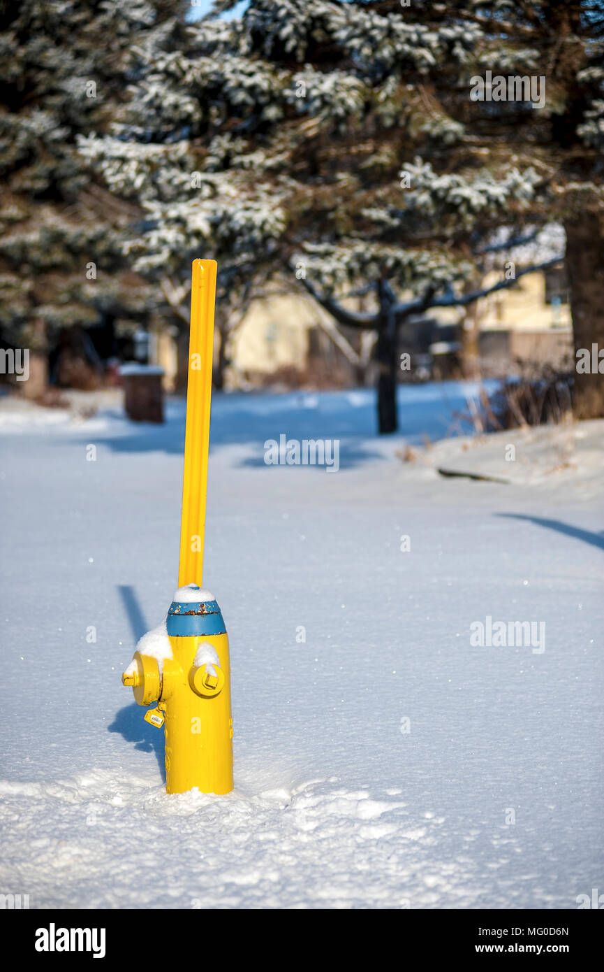 Idrante di fuoco nella neve Foto Stock