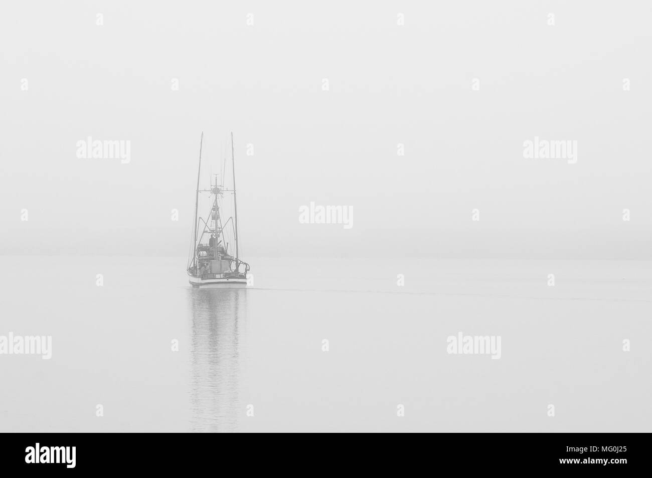 Cattails lungo il percorso 1 in California Foto Stock