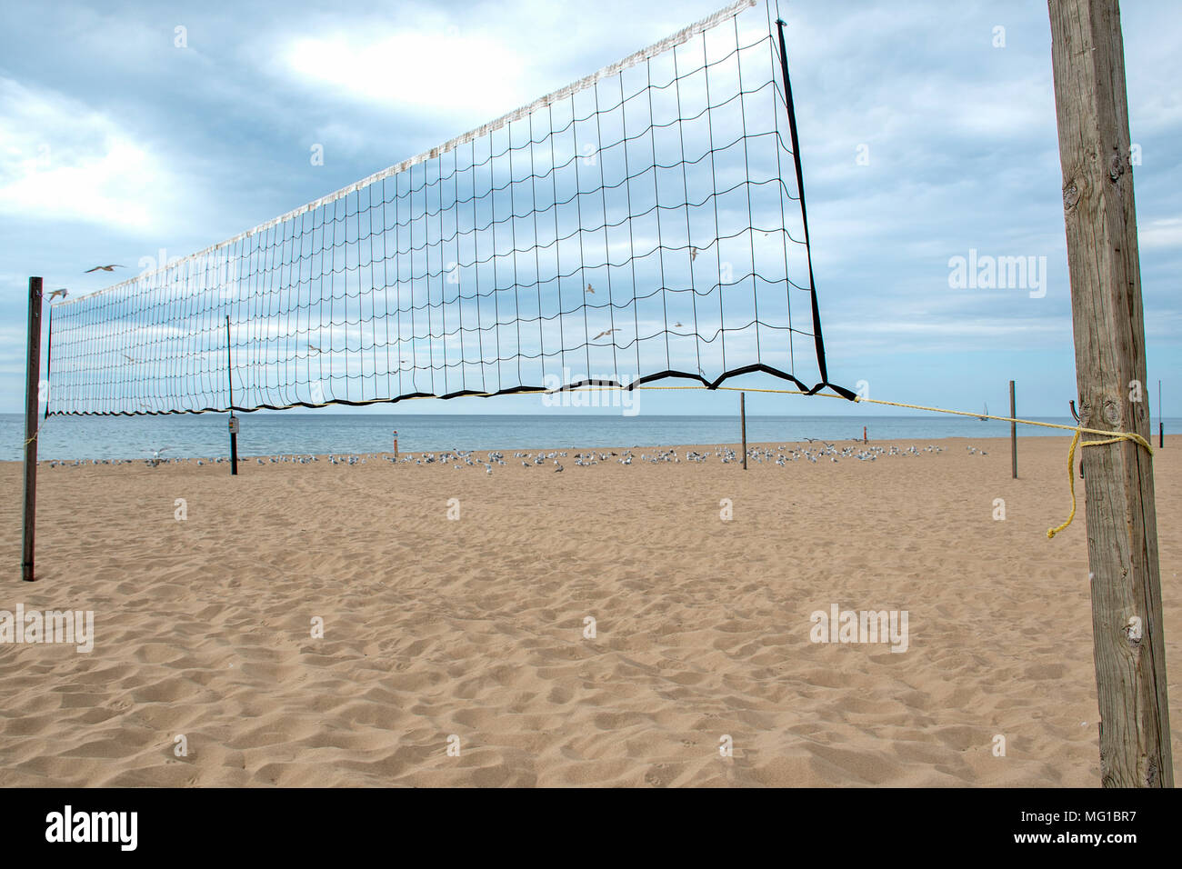 Rete da pallavolo sulla spiaggia con i gabbiani e blu sullo sfondo di acqua Foto Stock
