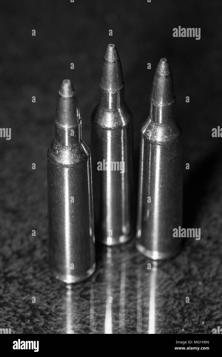Cartucce di fucile Foto Stock