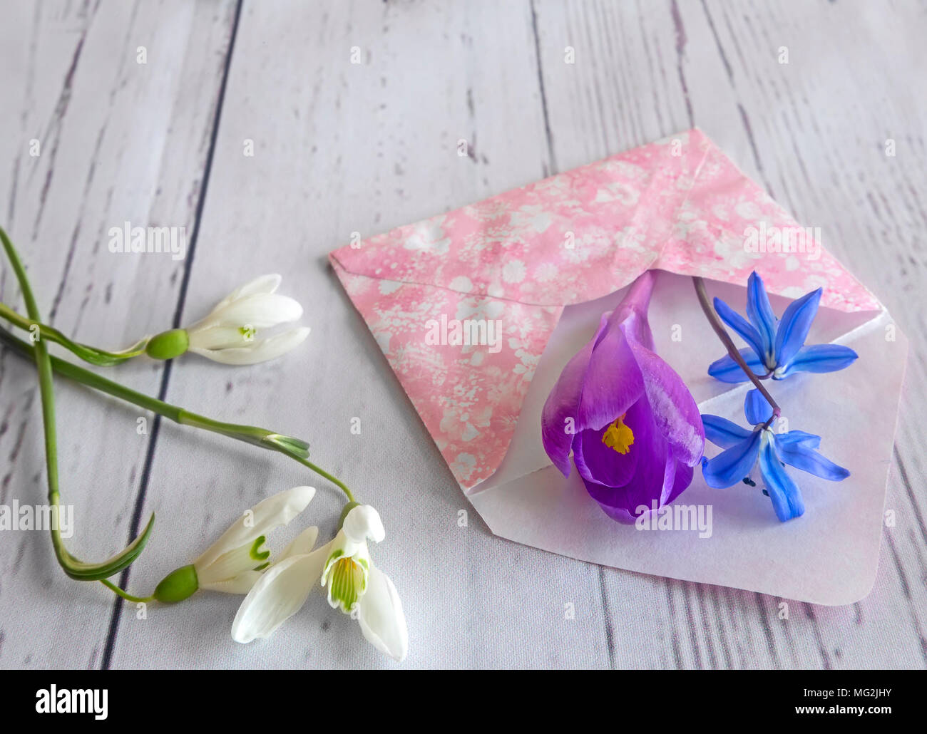 Su uno sfondo luminoso i primi fiori di primavera: bucaneve, crochi, viole e busta. Foto Stock