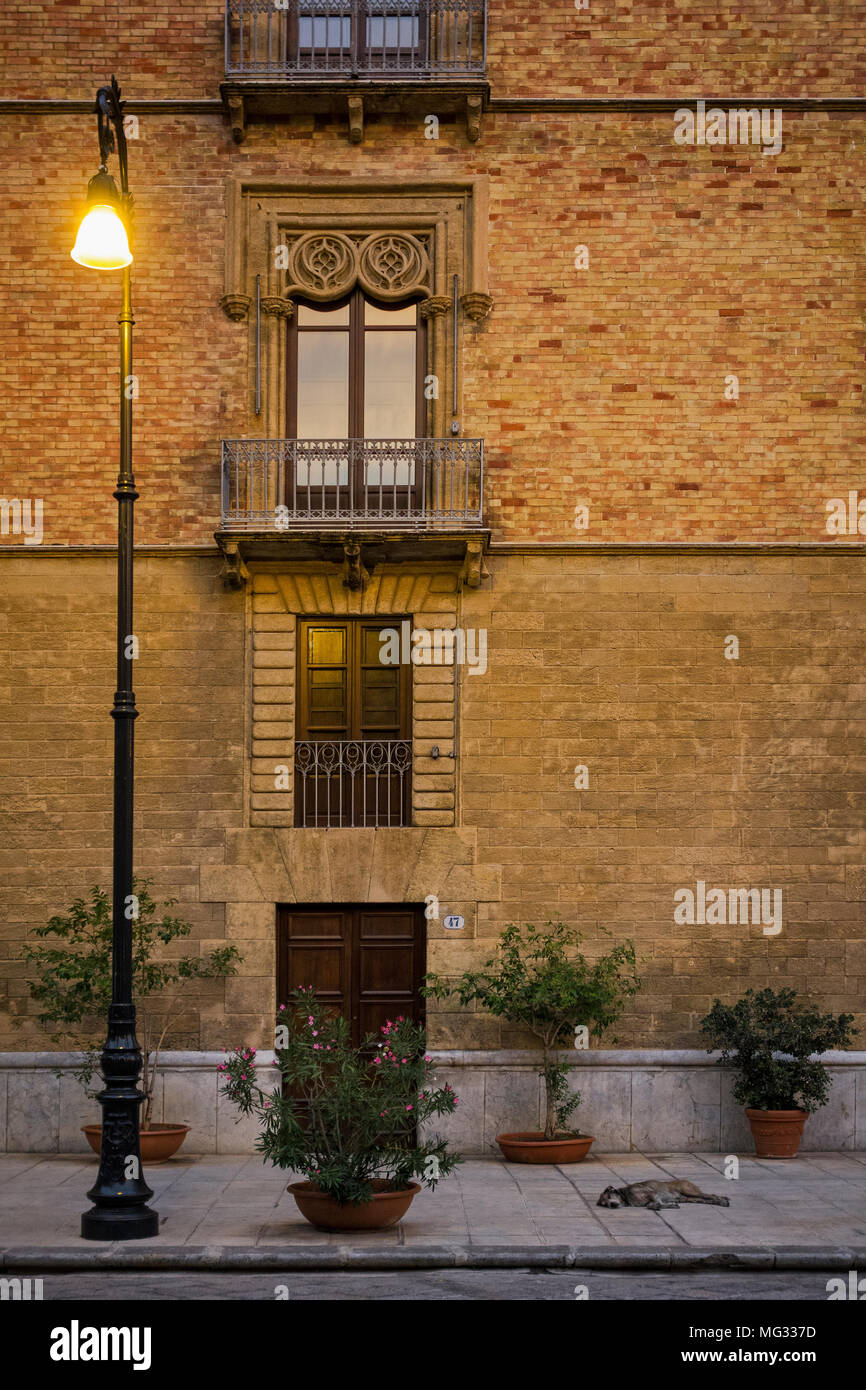 Un vecchio cane addormentato sul marciapiede al tramonto a Palermo, Sicilia, Italia. Vi è un ristorante nelle vicinanze dove egli viene alimentato dai commensali seduti su tavoli ou Foto Stock