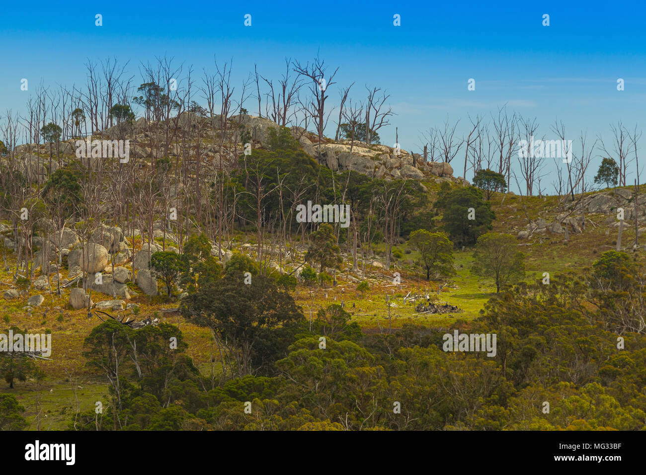 Terreni rurali nei pressi del Monte Mackenzie e Tenterfield nella regione del New England del Nuovo Galles del Sud. Foto Stock