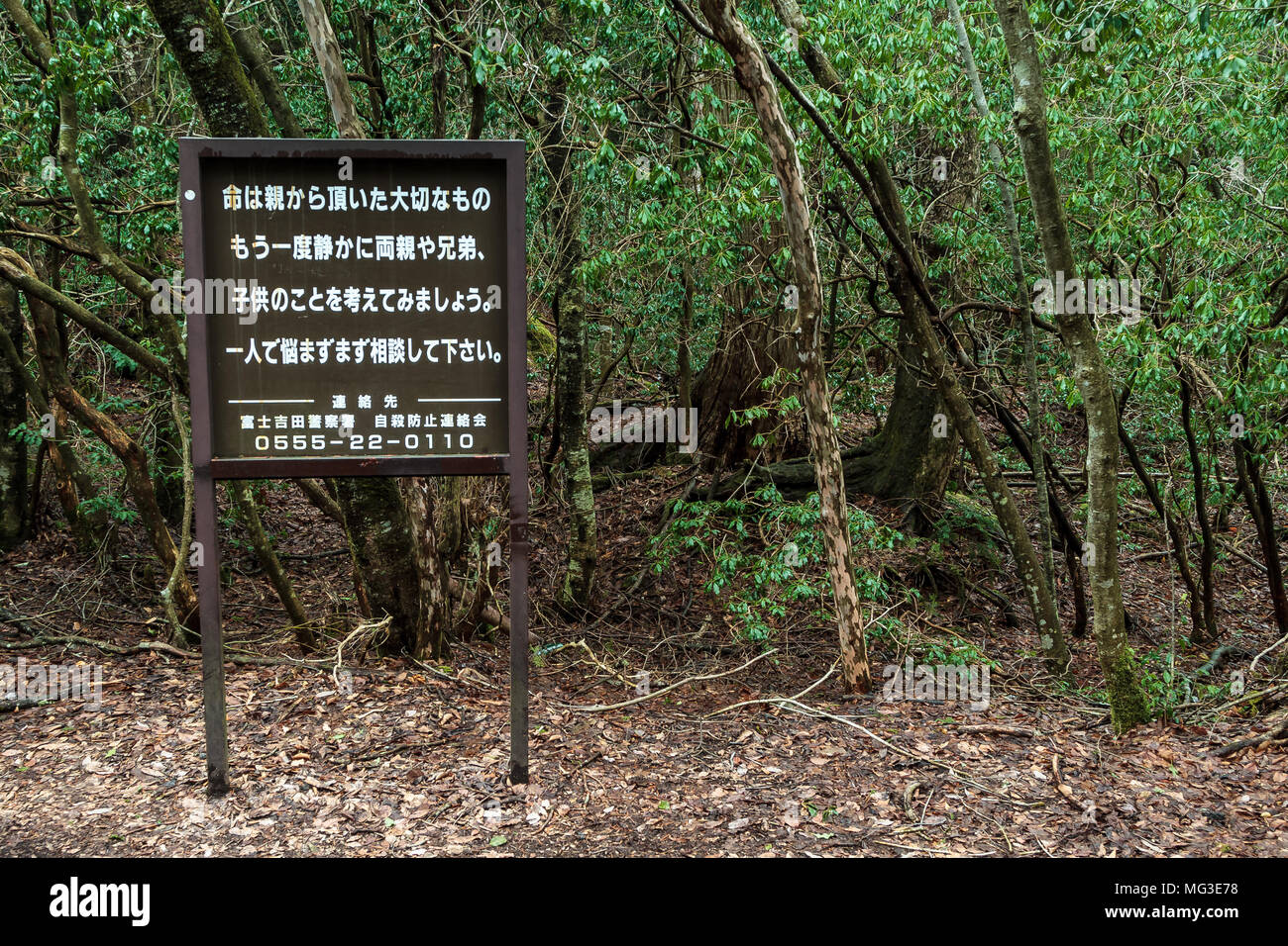 Un segno raccontare potenzialmente suicida di persone a 'pensare delle loro famiglie' ai confini della foresta di Aokigahara, noto come il suicidio foresta, vicino Mou Foto Stock