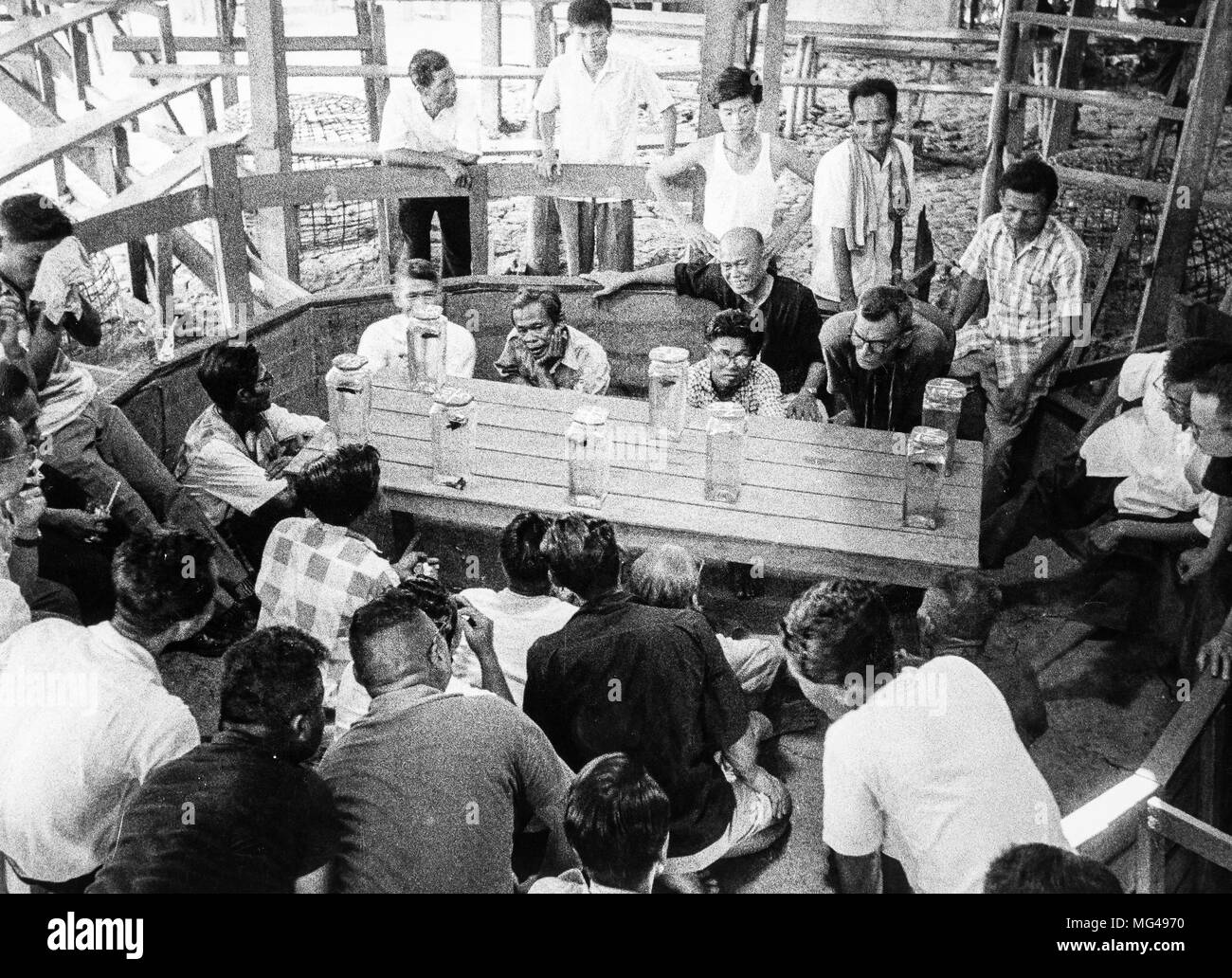 Lotta contro la pesca Betta splendens, frazioni di Bangkok, Thailandia, 70s Foto Stock