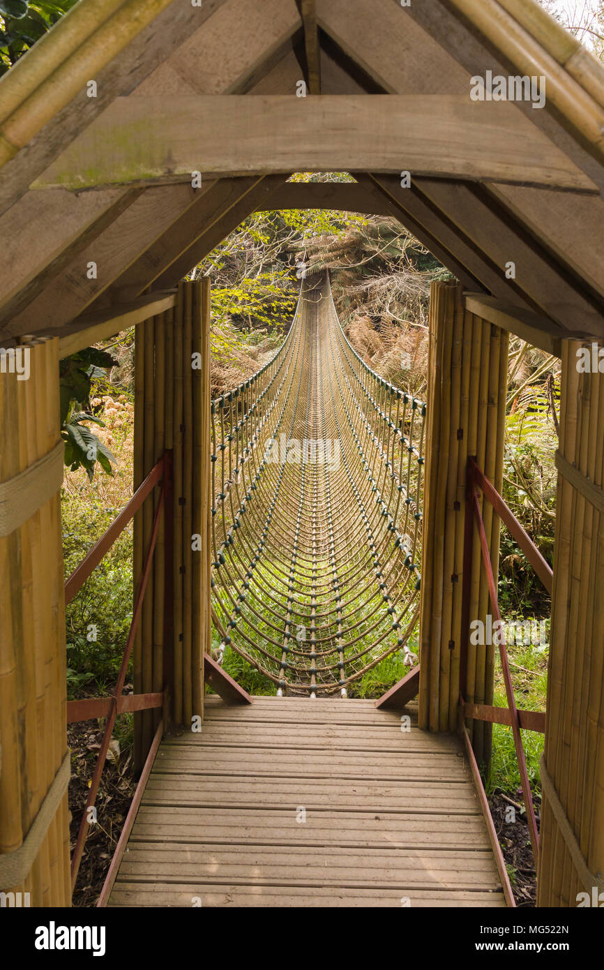 La 100ft Birmania ponte di corde che attraversano la giungla in Lost Gardens of Heligan Cornovaglia Foto Stock