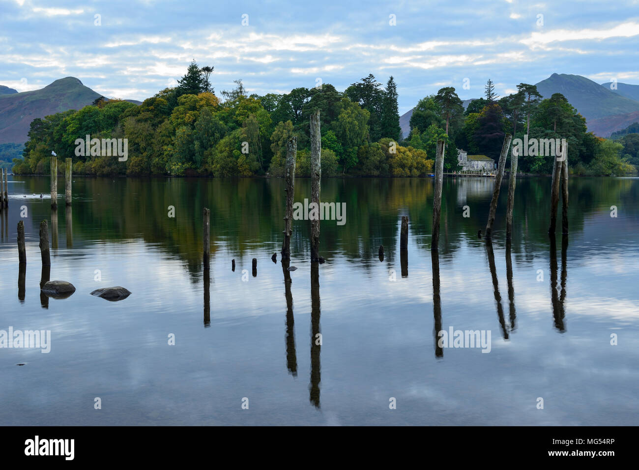 Derwent isola vicino a Keswick sulla Derwent Water nel Parco nazionale del Lake District in Cumbria, Inghilterra Foto Stock