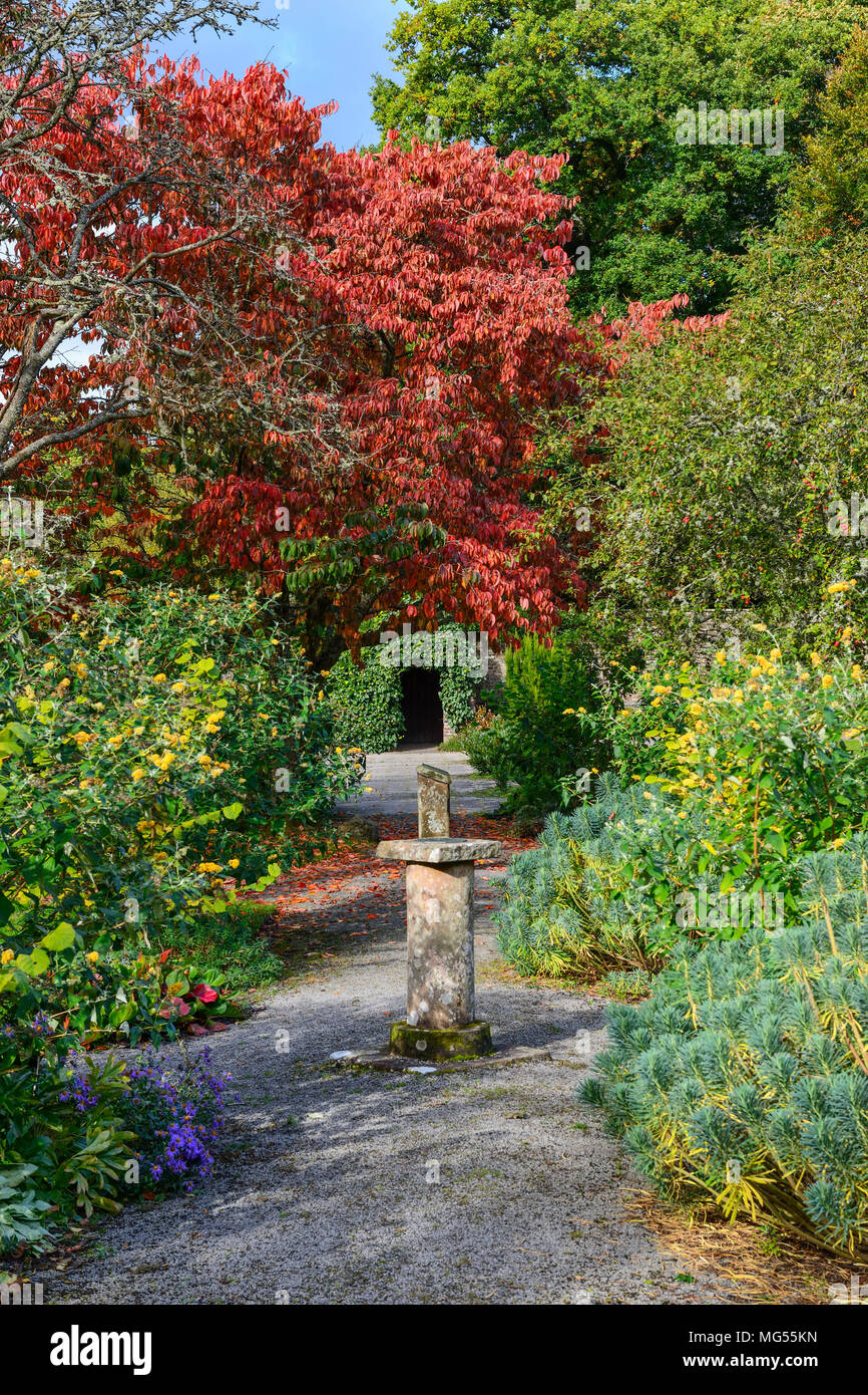 Mirehouse Gardens Near Keswick nel distretto del lago, Cumbria, Inghilterra Foto Stock