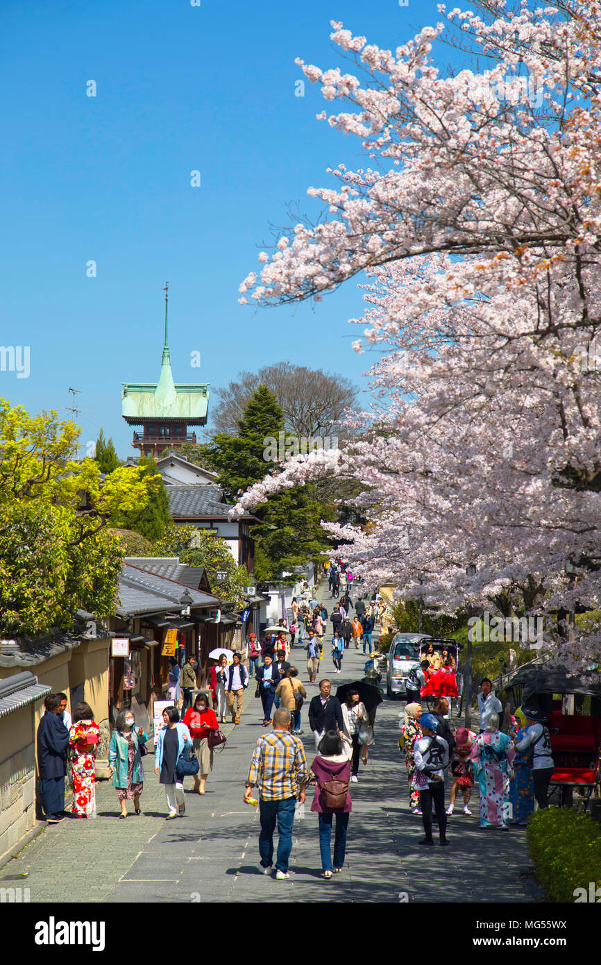 Fiore di Ciliegio lungo la corsia di Higashiyama meridionale, Kyoto, Kansai, Giappone Foto Stock