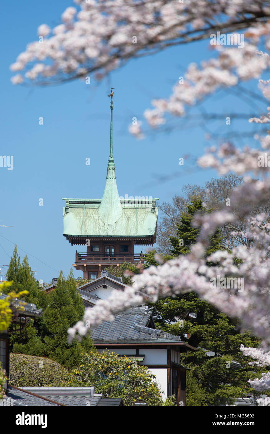 Fiore di Ciliegio lungo la corsia di Higashiyama meridionale e tempio Daiunin, Kyoto, Kansai, Giappone Foto Stock