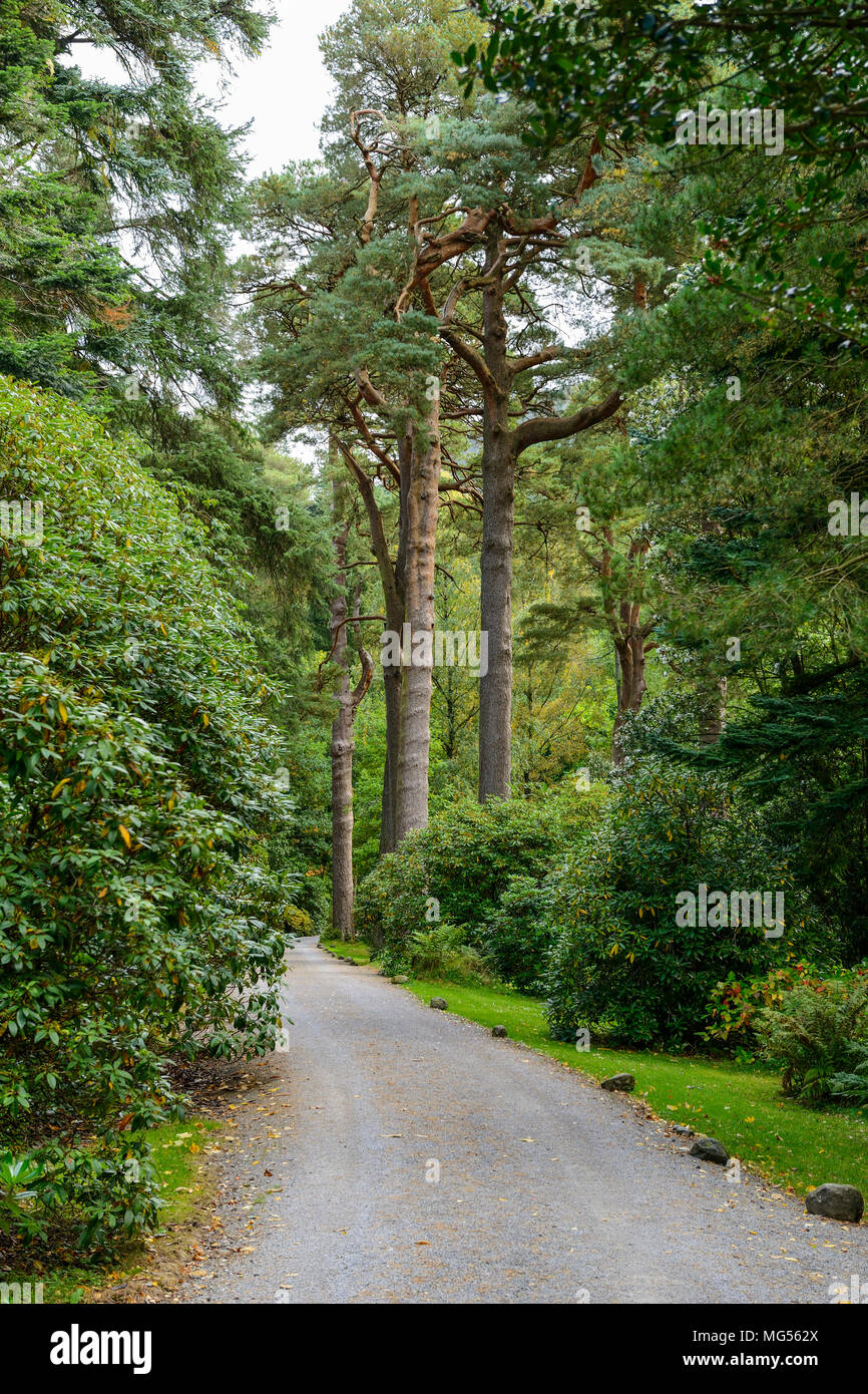 Mirehouse Gardens Near Keswick nel distretto del lago, Cumbria, Inghilterra Foto Stock
