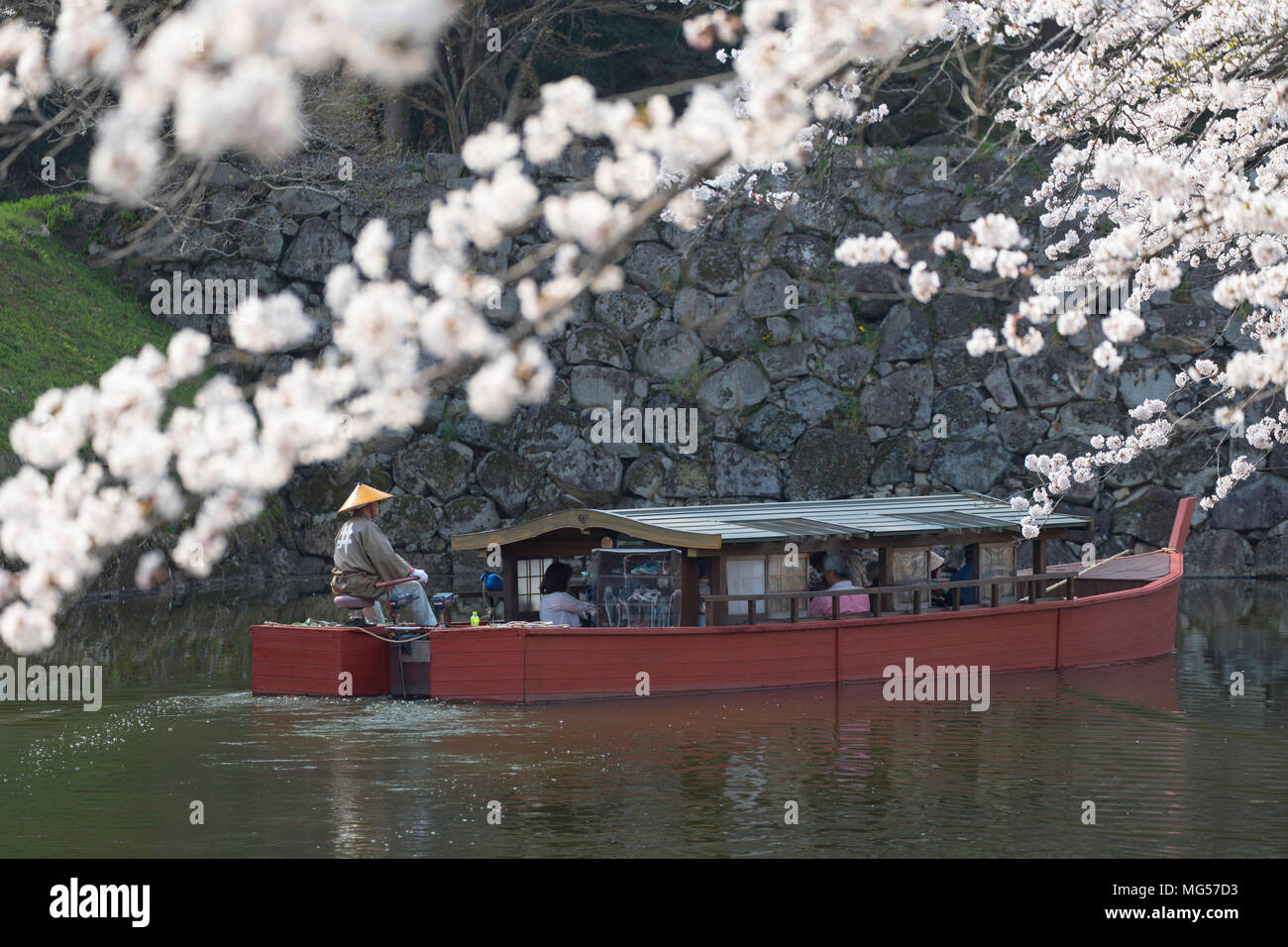 La barca turistica sul fossato al castello di Hikone, Hikone, Kansai, Giappone Foto Stock