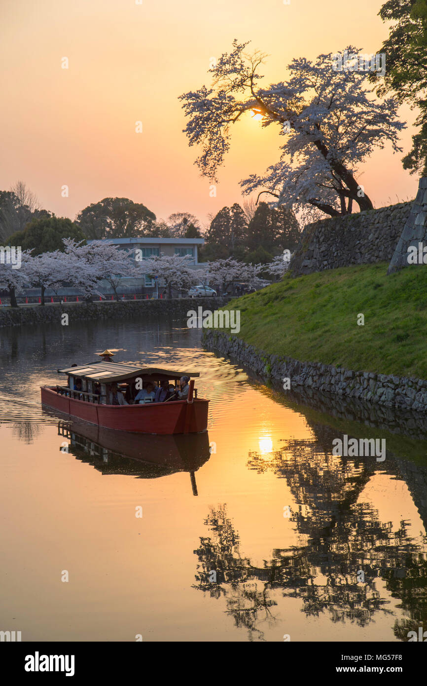 La barca turistica sul fossato al castello di Hikone al tramonto, Hikone, Kansai, Giappone Foto Stock