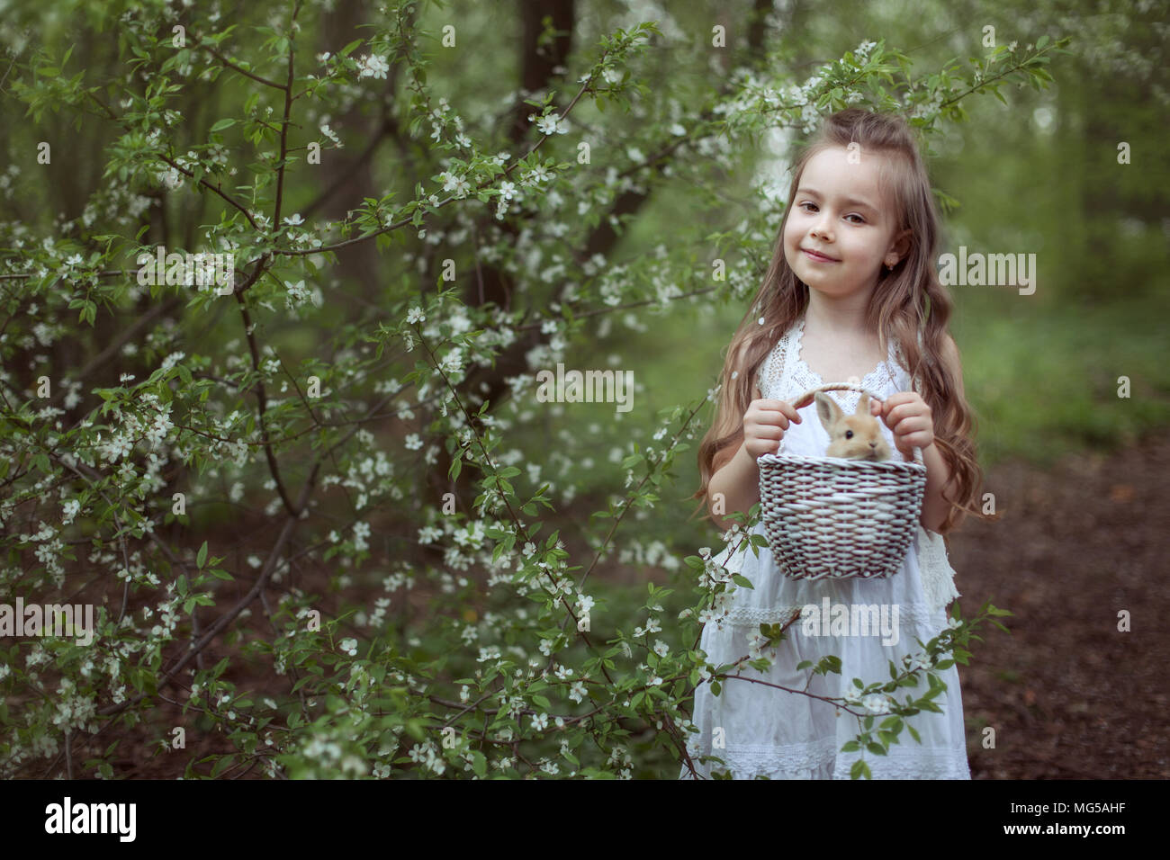Bambina in piedi nei boschi e detiene un cestello con un piccolo coniglio. Foto Stock