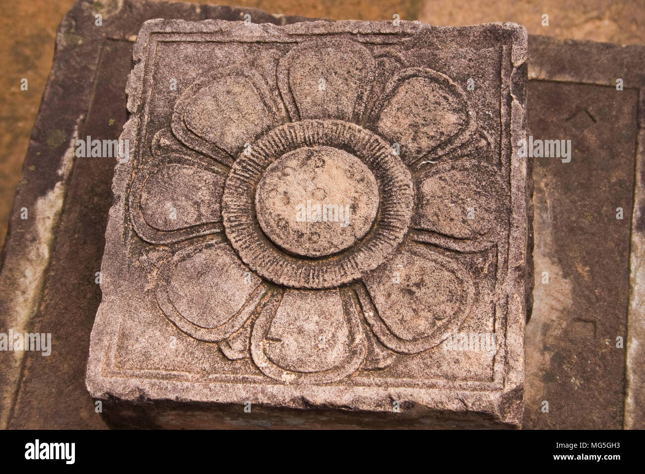 Close-up di un fiore di loto sculture su un quadrato con pietra arenaria rossa, spesso si trova nei templi Khmer. Si tratta di un rimangono di Shiva Linga in Cambogia il Banteay Srei. Foto Stock