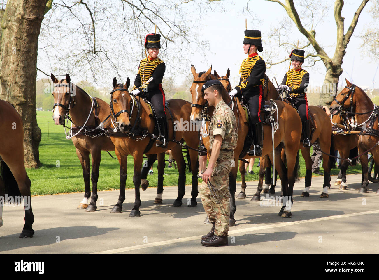 La famiglia cavalleria, celebrando il Queen's 92compleanno in Hyde Park, London, Regno Unito Foto Stock