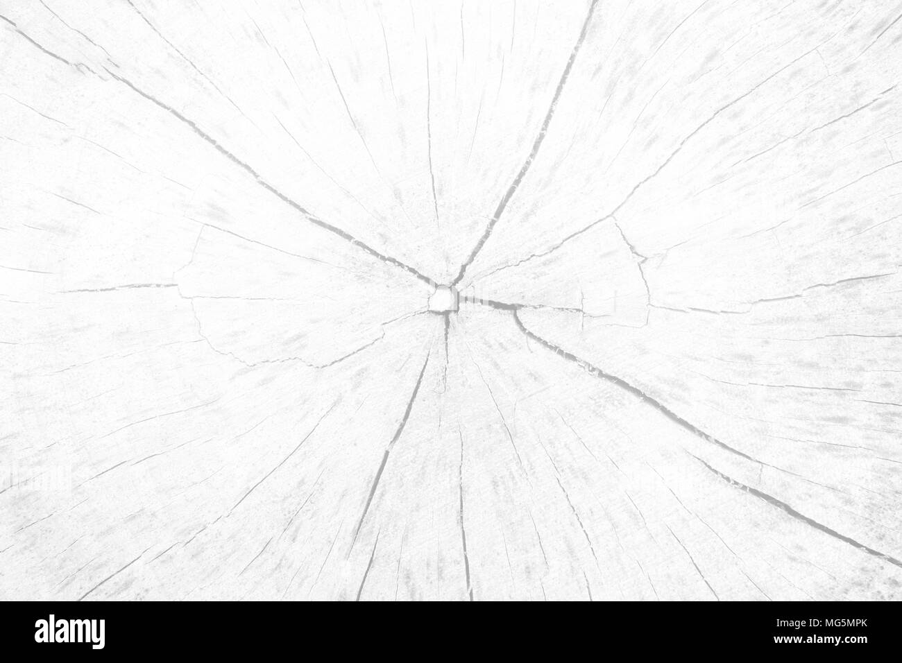 Moncone bianco sullo sfondo di texture. Foto Stock