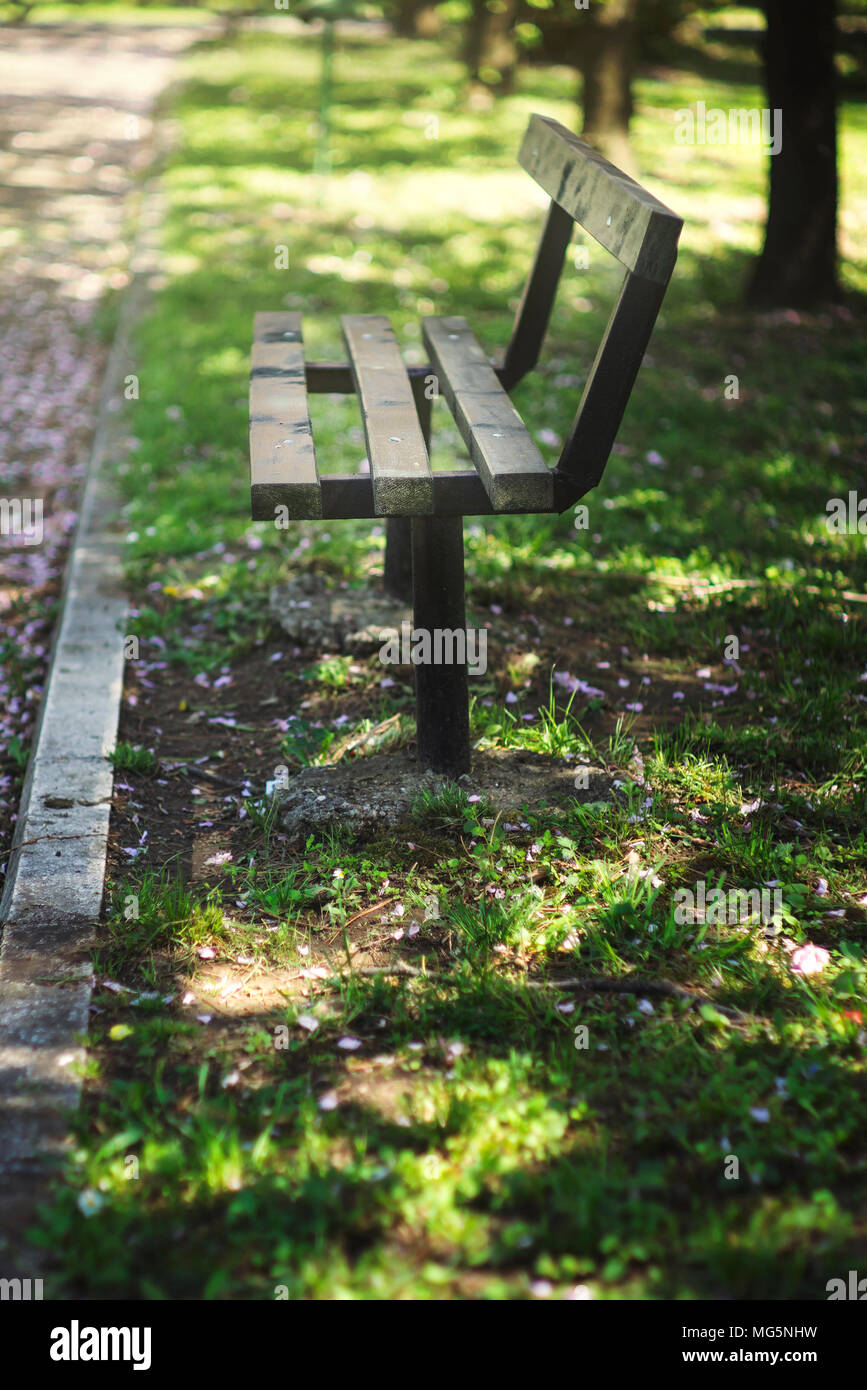 Svuotare panca in legno nel parco della città, look rétro Foto Stock