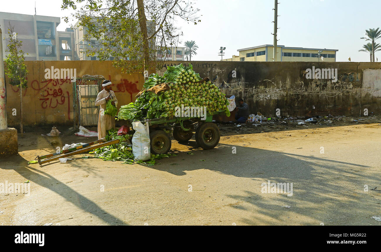 Un egiziano venditore ambulante che vende le verdure da un carrello in strada al Cairo, in Egitto, Africa Foto Stock