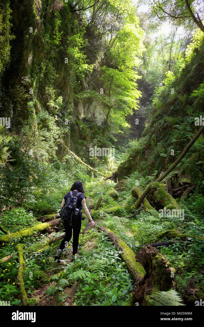 Calcata (VT), Italia - 25 Aprile 2018: un escursionista attraversa un percorso nella gola circondato da felci e muschi e tronchi di alberi caduti. Foto Stock