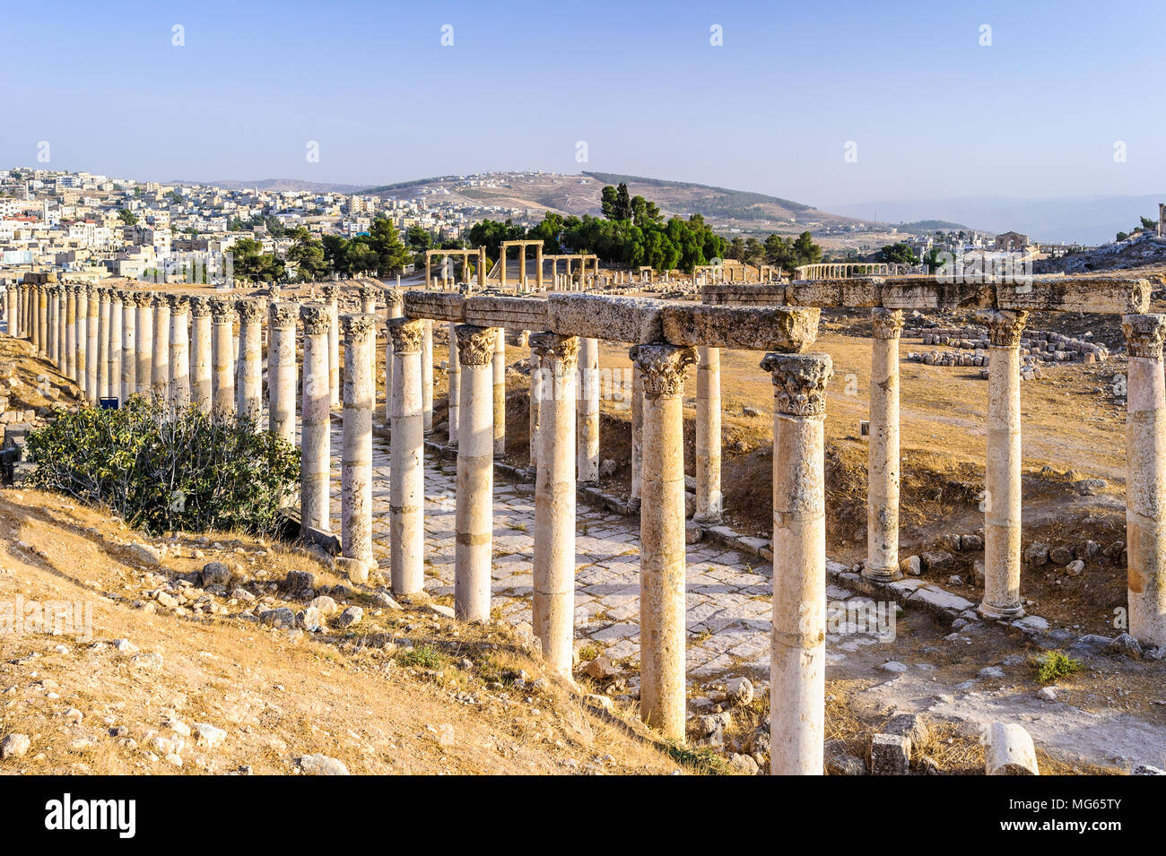 Rovine romane nel Giordano città di Jerash, (Gerasa dell antichità), la capitale e la più grande città di Jerash Governatorato, Giordania Foto Stock