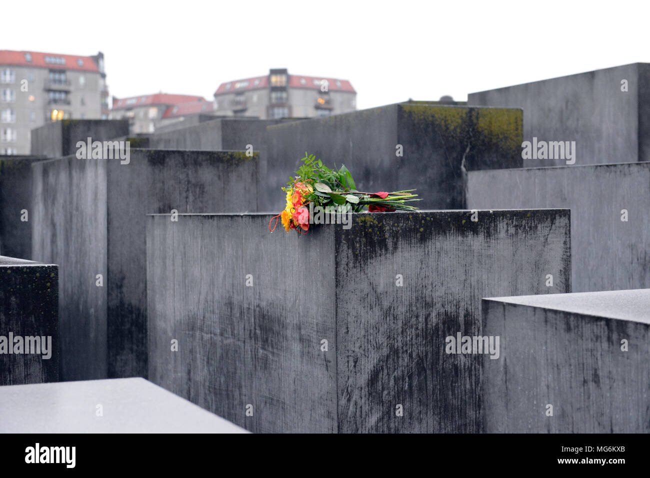 Luminoso bouquet di fiori su grigio di blocchi in calcestruzzo contrasta con umido opprimente grigio pietra del monumento commemorativo dell'Olocausto Berlino Germania Foto Stock