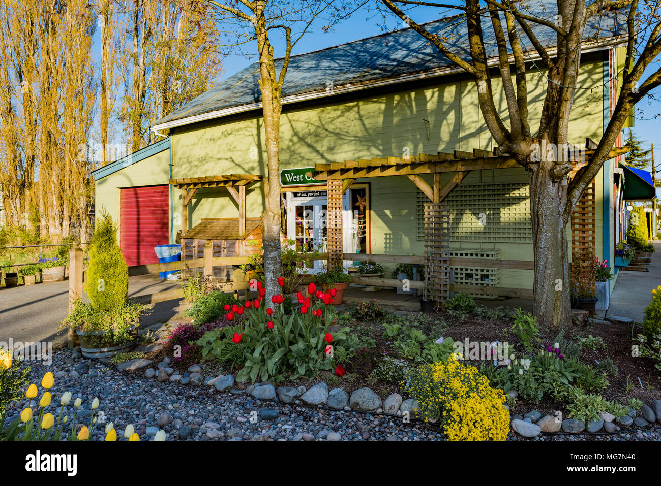 West Coast semi, Ladner Village, Delta, British Columbia, Canada. Foto Stock