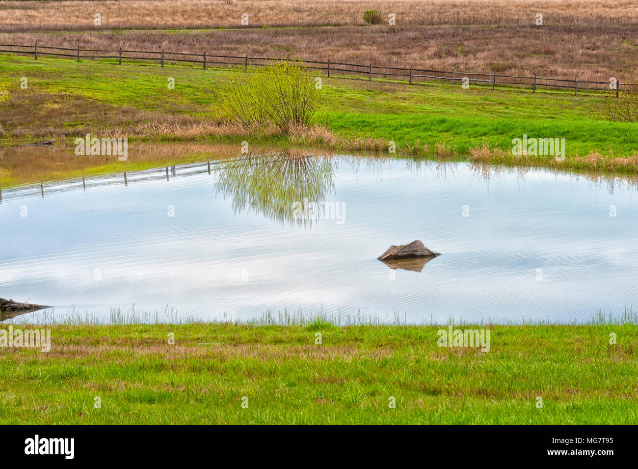 Ancora un laghetto riflette tree,recinto e le nuvole in questo ambiente sereno. Foto Stock