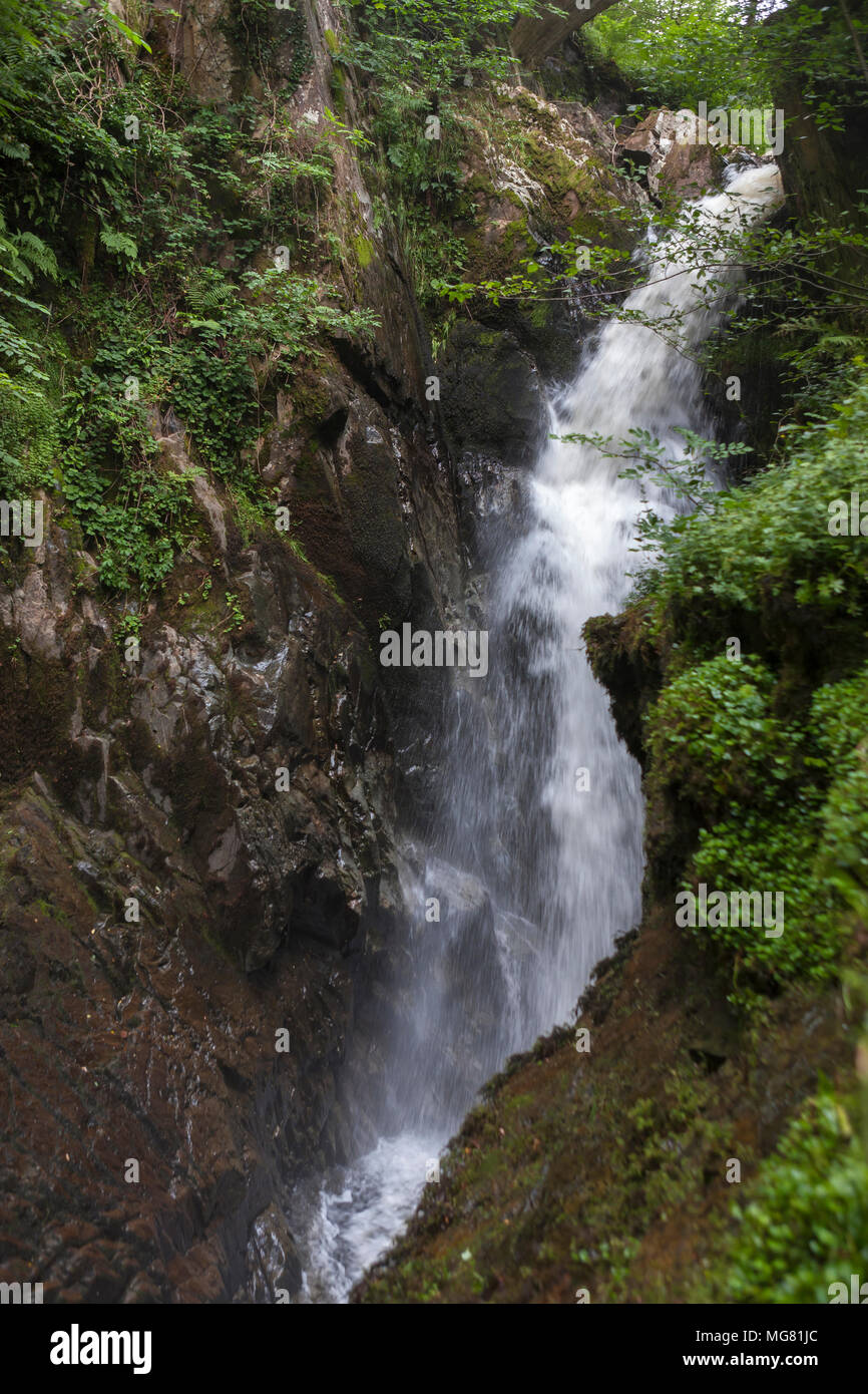 Aira Force su Aira Beck, Lake District, Cumbria Foto Stock