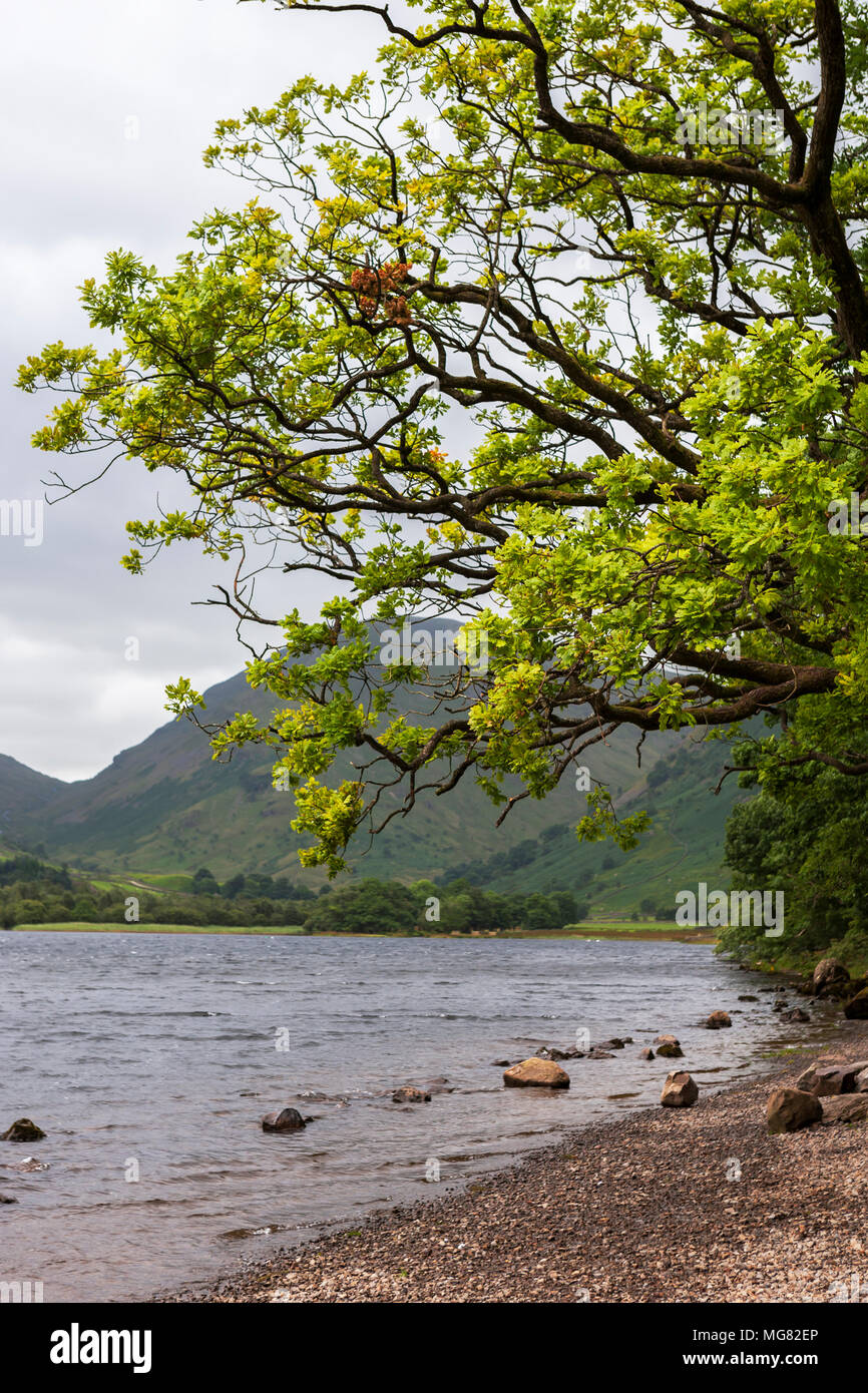 Cercando la Kirkstone Pass da fratelli acqua, Lake District, Cumbria, England, Regno Unito Foto Stock