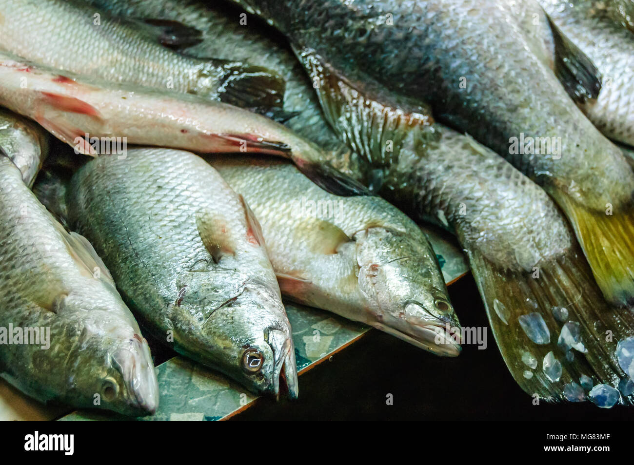 Pila di pesce fresco sul mercato in stallo nel sud della Thailandia Foto Stock